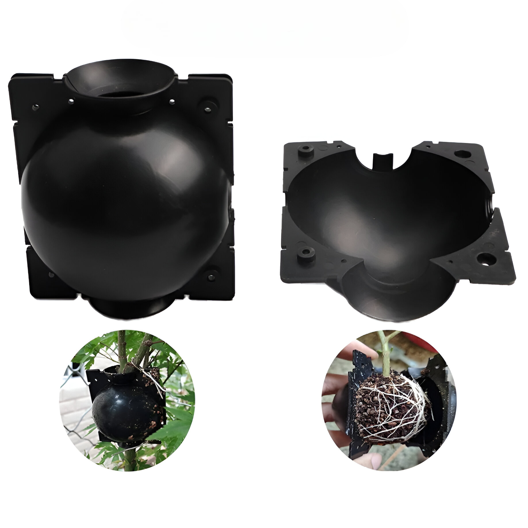 Dispositivo para enraizamiento de plantas y árboles. (1 und)
