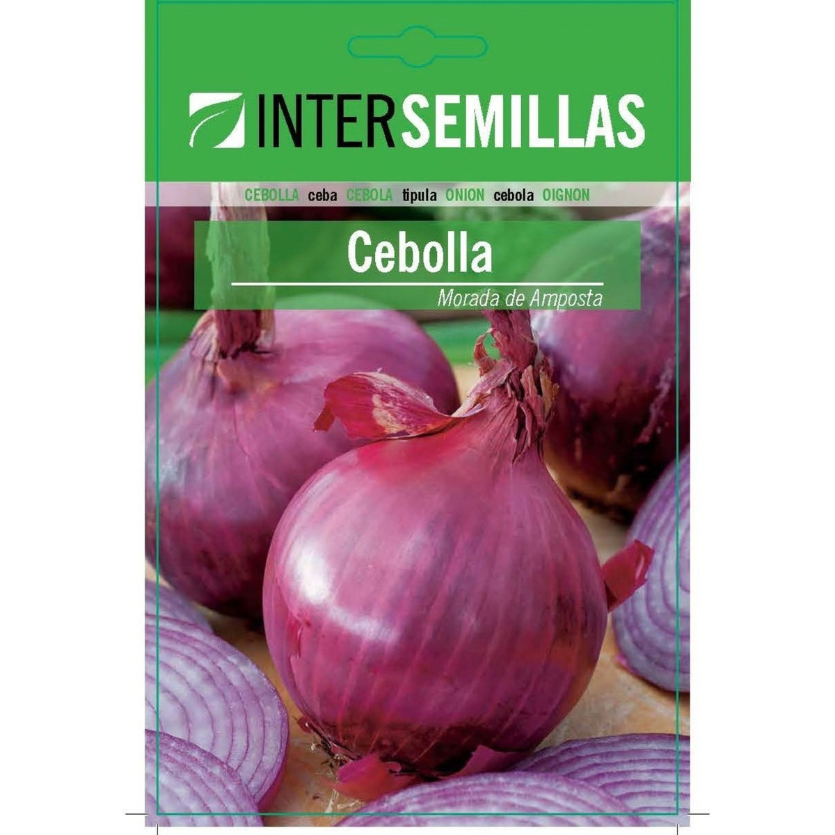 Semillas de Cebolla Morada de Amposta (6 g). Ideales para Cultivar en Huertos y Jardines.
