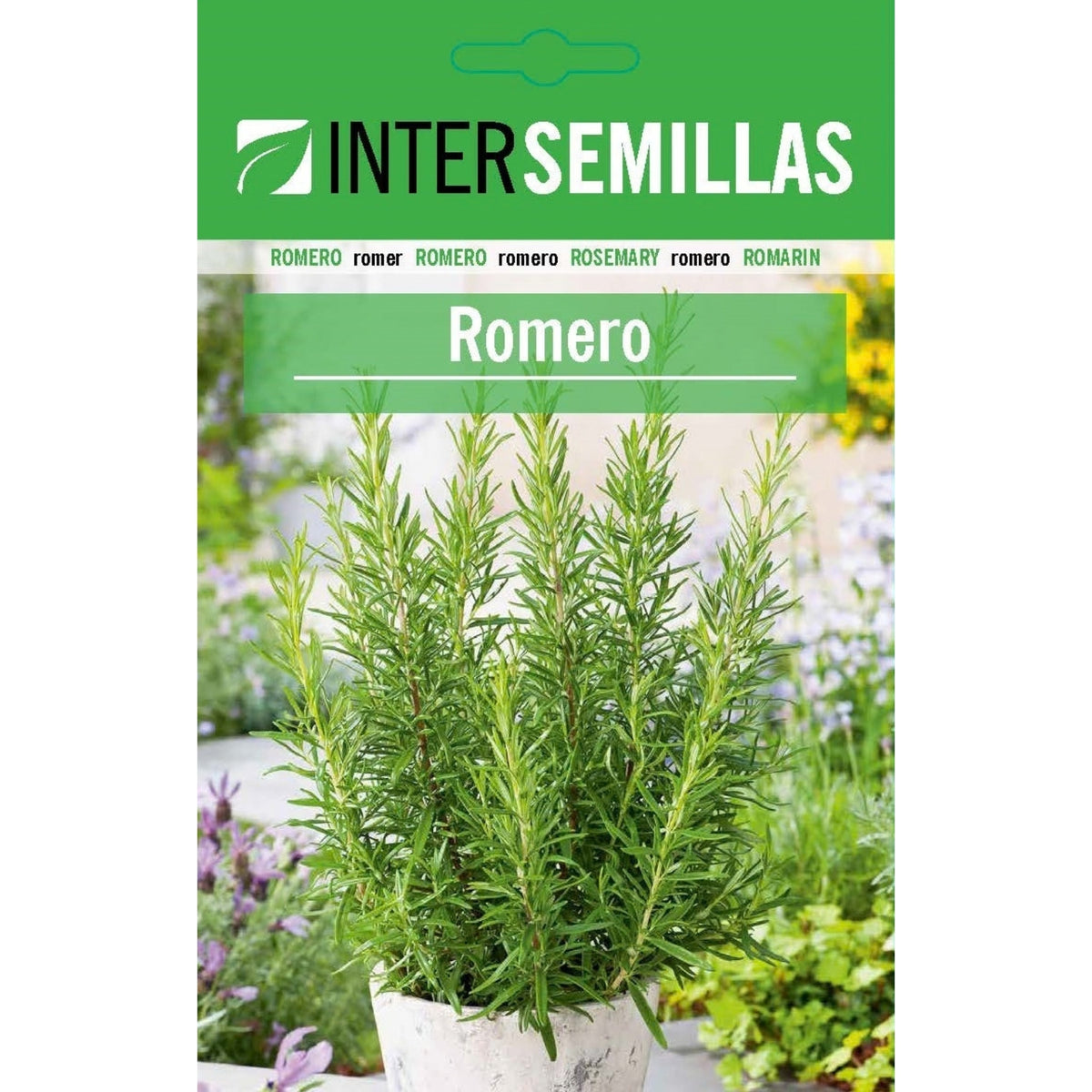 Semillas de Romero Rosmarinus officinalis (0,1 g). Ideales para Cultivar en Jardines y Macetas.