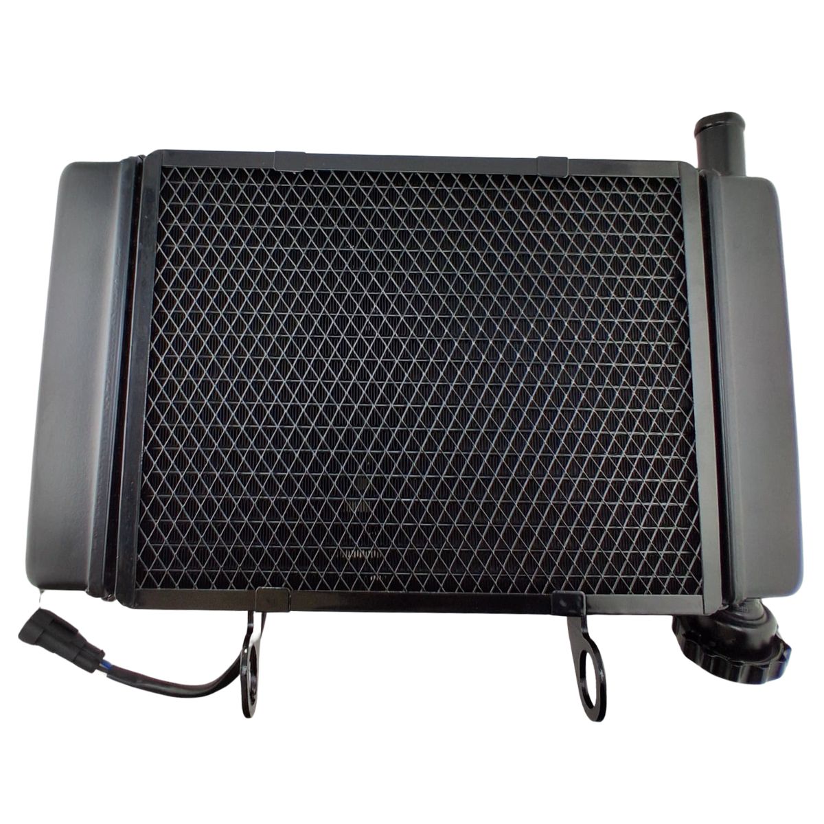 Radiador completo (LEONCINO250)