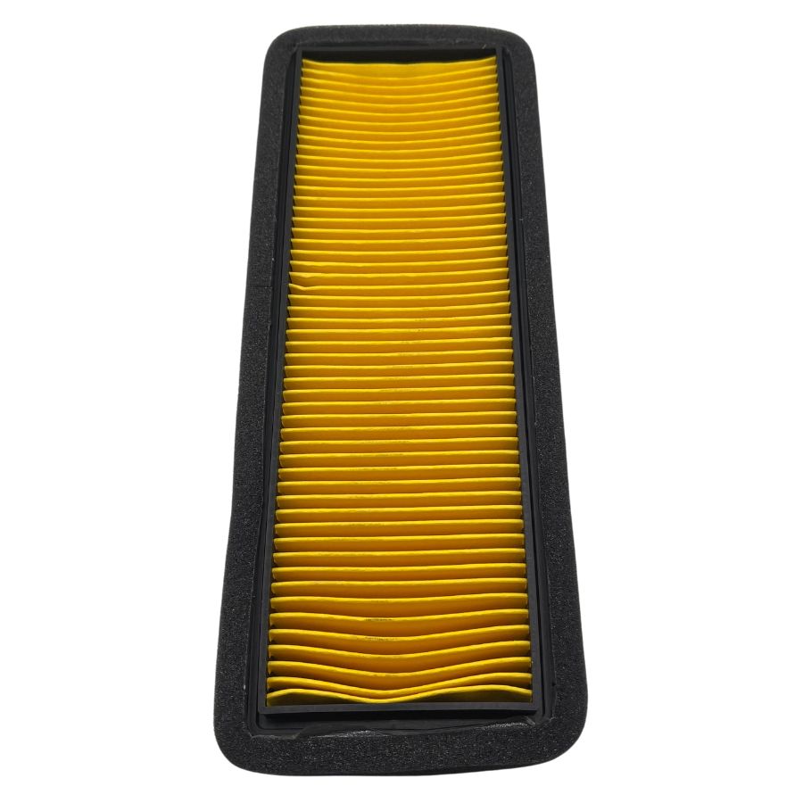 Filtro de aire (Leoncino800Trail)