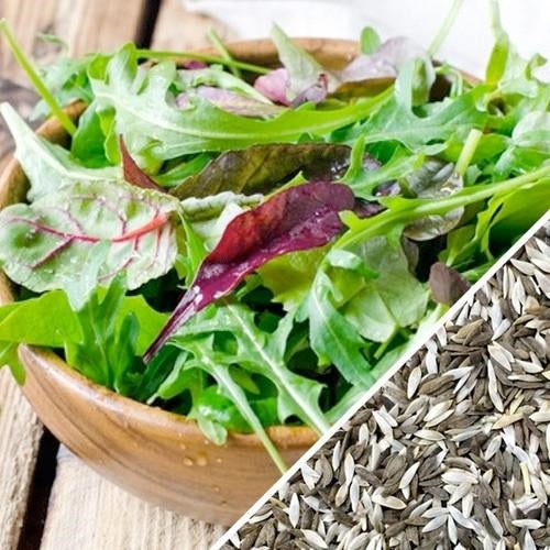 Semillas de lechuga, Mezcla Gourmet Mesclun (100% Heirloom/No Híbrido/No GMO). 200 semillas aprox.