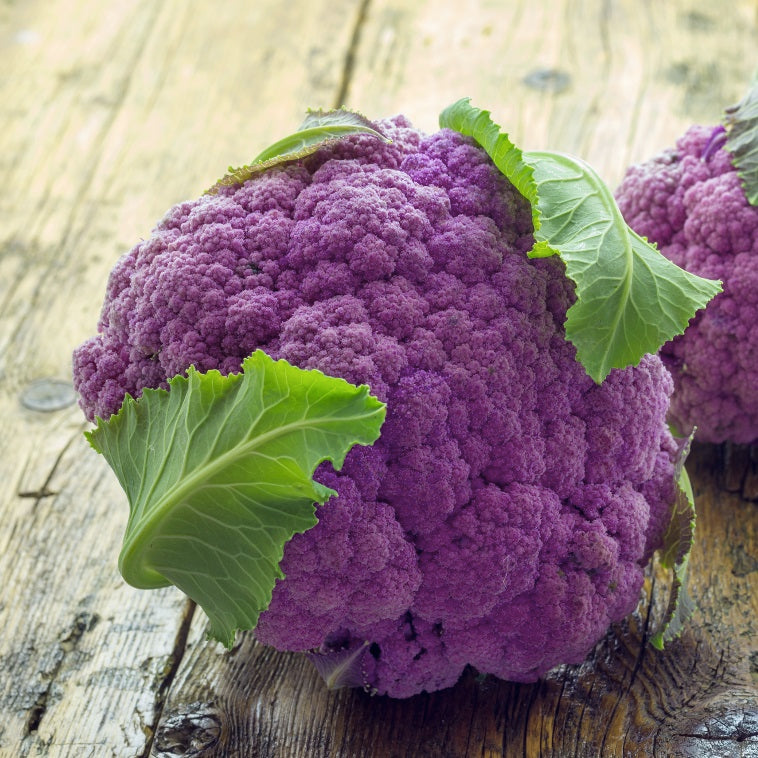 Semillas de coliflor violeta (100% Heirloom/No Híbrido/No GMO). 200 semillas aproximadamente.