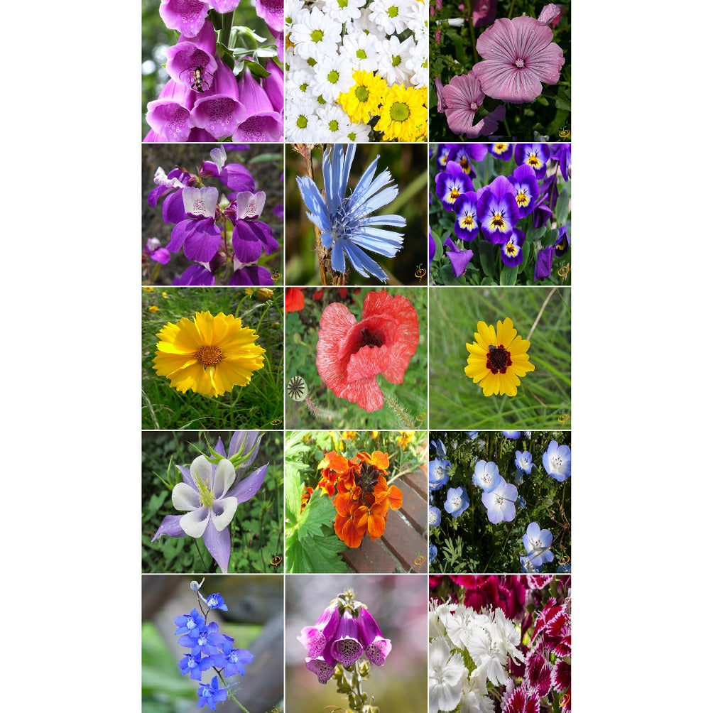 Semillas surtidas de flores silvestres para áreas húmedas. Incluye 16 variedades