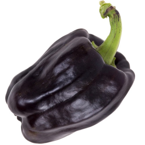 Semillas de pimenton dulce, color marron (100% Heirloom/No Híbrido/No GMO). 10 semillas aprox.
