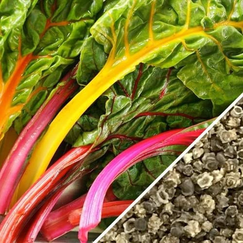 Semillas de acelga arcoíris Suiza (100% Heirloom/No Híbrido/No GMO). 25 semillas aproximadamente
