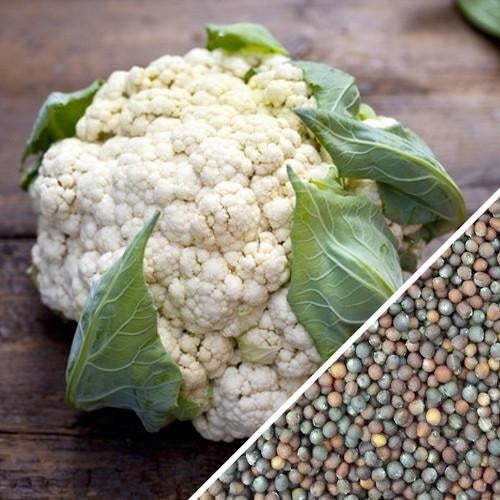 Semillas de coliflor, todo el año (100% Heirloom/No Híbrido/No GMO). 70 semillas aproximadamente.