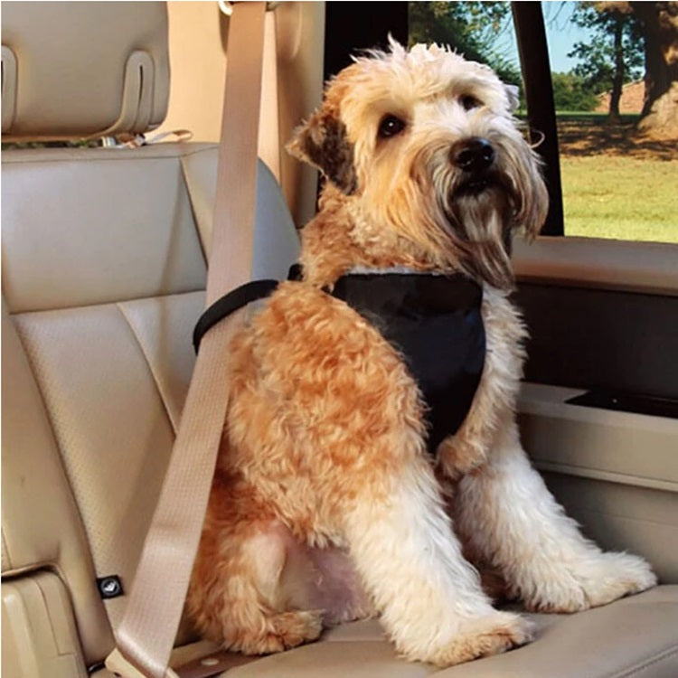 Arnes Pechera para mascota, para transportar en auto. Tamaño XS.