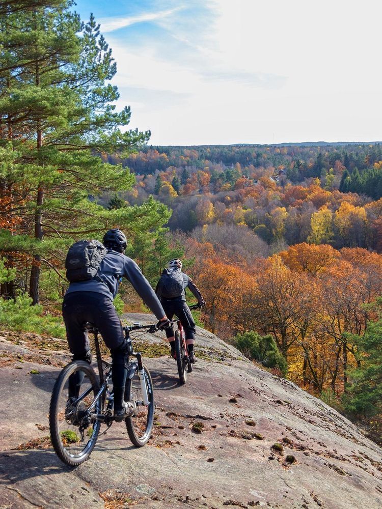 Bicicleta montañera: Una compañera de aventuras