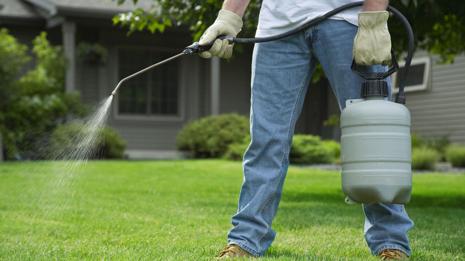 ¿Cómo elegir una fumigadora para tu jardín?