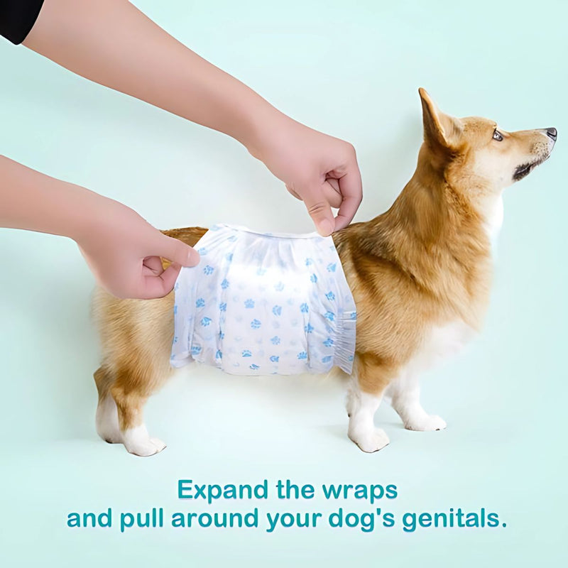 Pañales desechables para perros machos. Talla XS (15-33cm). Super absorbente. (Pack de 12 unidades)