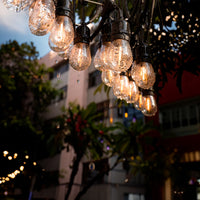 Guirnaldas de bombillos decorativos