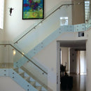 BOTON DE 2" PARA BARANDAS VIDRIO. ACABADO SATINADO (NX48 * 30)