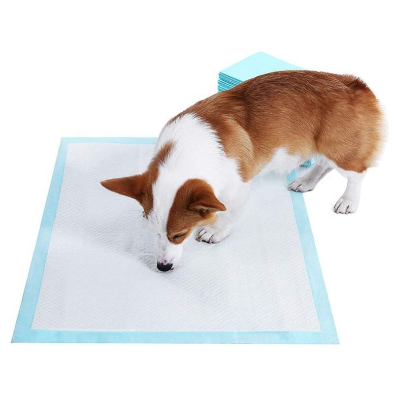 Pads De Entrenamiento Desechables Para Perros Mascotas 33Cm X 45Cm. (Pack De 100 Unidades)