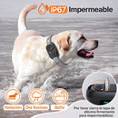 Collar de Entrenamiento para Perros Recargable con Control de Ladridos. 3 Modos (Beep, Vibración y Descarga) con 5 Niveles de Sensibilidad. Antiladridos.