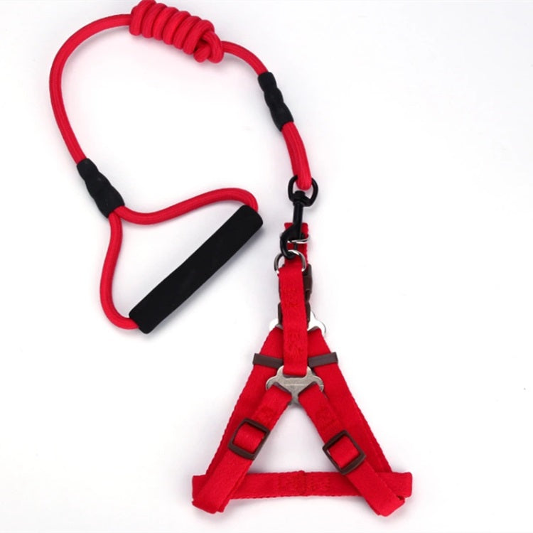 Correa y Pechera para mascotas. Color Rojo. Talla XS -Tamaño Correa: 6mmx120cm Pechera 30-36cm