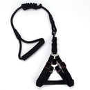 Correa y Pechera para mascotas. Color Negro. Talla XS -Tamaño Correa: 6mmx120cm Pechera 30-36cm