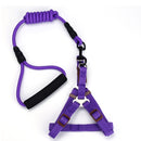 Correa y Pechera para mascotas. Color Purpura. Talla L- Tamaño Correa 12mmx120cm Pechera 55-80cm