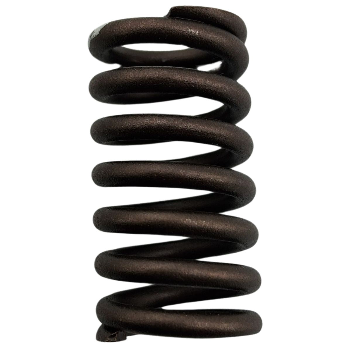 Resorte valvula de admision (TX200NEW) VALVE INNER SPRING