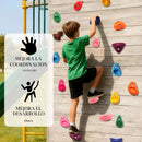 Piedras para Escalar Infantil 20 Piezas de prensas con Tornillos M10 y Llave Allen. Agarraderas para Muro de Escalada Niños Interior Exterior. Multicolor