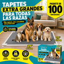 Pads de Entrenamiento para Perros con 6 Capas Ultra Absorbentes con Carbón Activado Antiolores y Antifugas. Grandes 65x75cm. Pack de 100 Unidades
