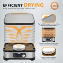 Máquina deshidratadora eléctrica de alimentos, 400 W.