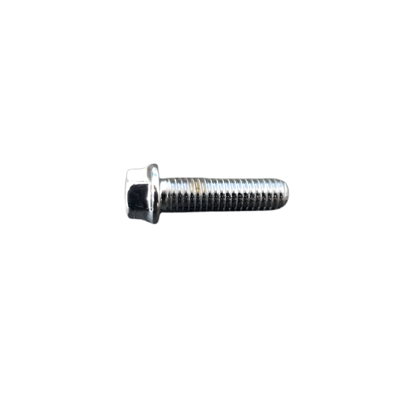 Tornillo M6x22 (Placa de cromo)
