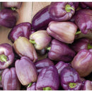 Semillas De Pimenton Dulce, Color Morado (100% Heirloom/ No Híbrido/No GMO). 60 Semillas Aprox.