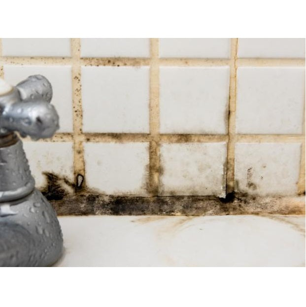 Soudal Silirub S antihongos fungicida Transparente Silicona sellado general de baños 280ml.