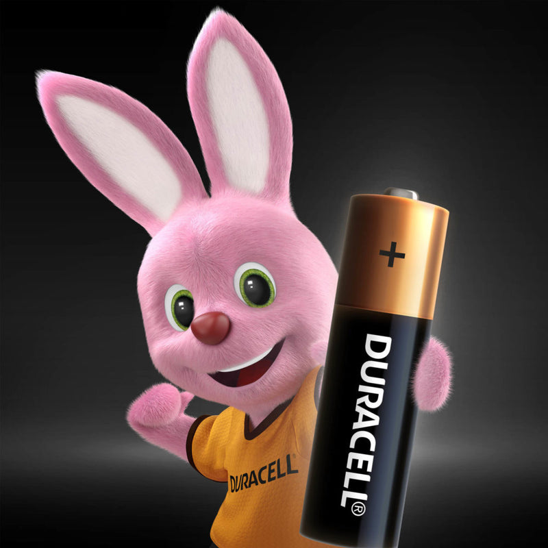 Baterías Alcalinas AA - Duracell. Paq 6 Und