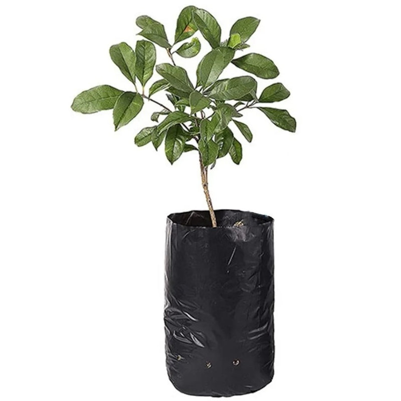 Bolsa semillera para viveros, hasta 5 lb, color negro (100 unidades)