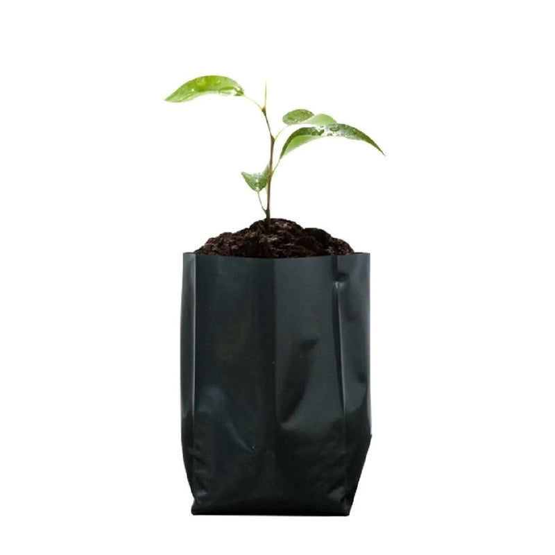 bolsas de plastico para plantas Bolsa Semillera Para Viveros, Color Negro (100 Unidades)