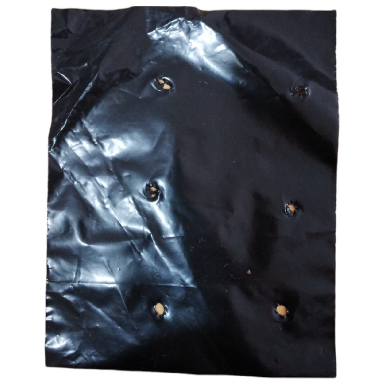Bolsa semillera para viveros, color negro (100 unidades)