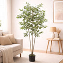 Planta Artificial Ficus Multi Tronco. Árbol Ficus para Interiores Realista. Altura de 180 cm.