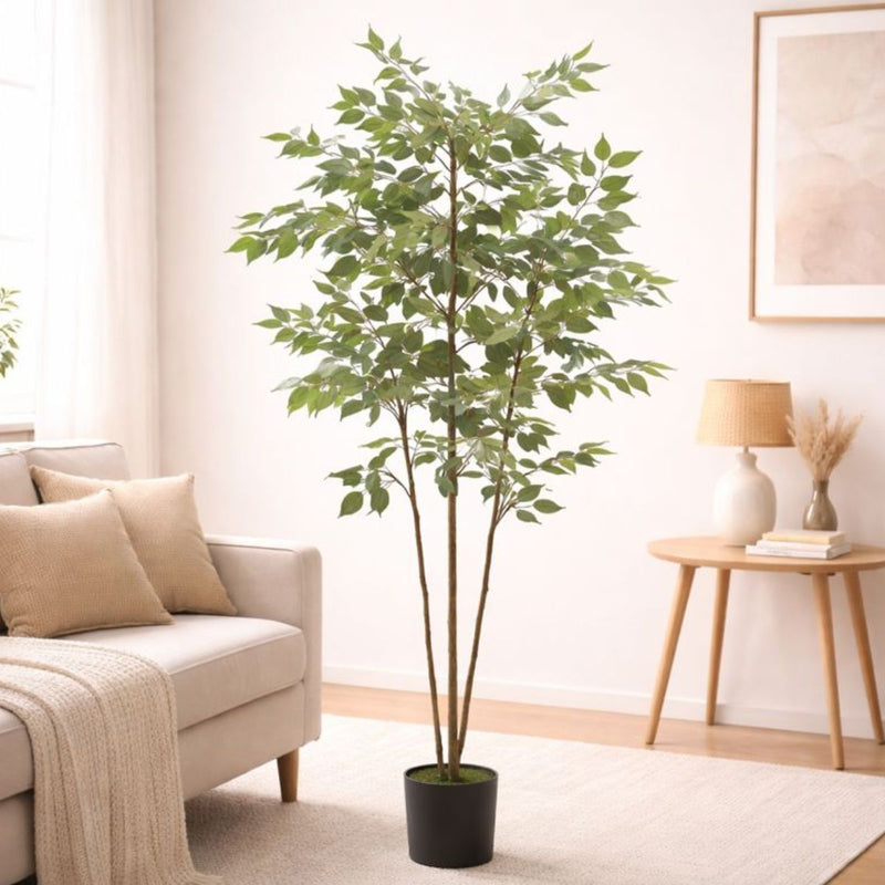 Planta Artificial Ficus Multi Tronco. Árbol Ficus para Interiores Realista. Altura de 180 cm.
