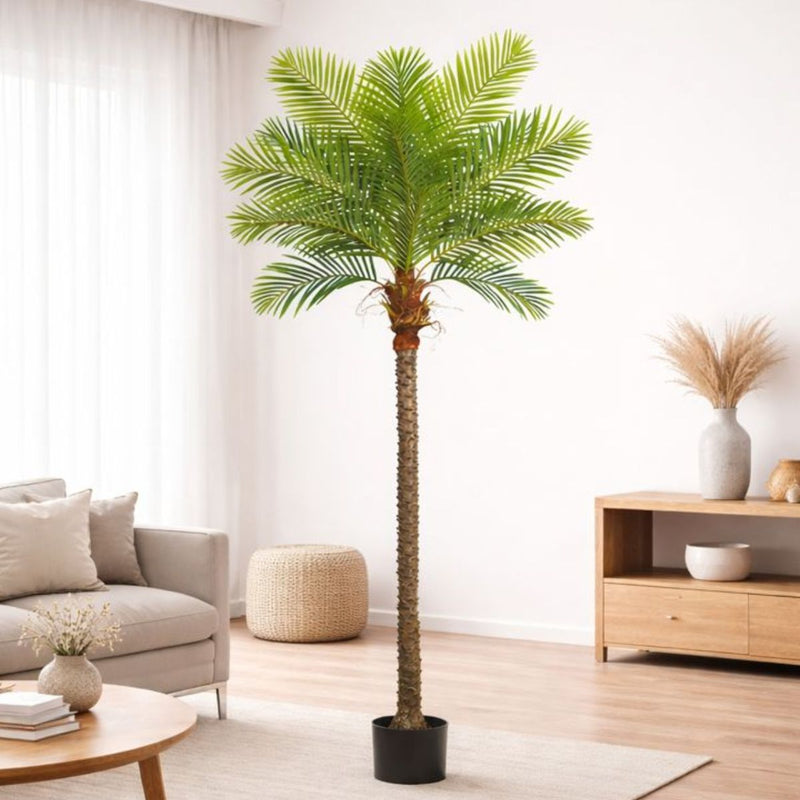 Planta de Coco Artificial. Cocotero Decorativo para Interior. Palmera de Coco Realistas. Altura de 300cm.