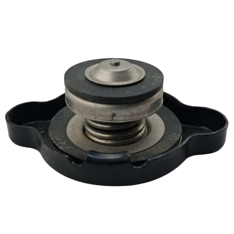 Tapa del radiador (LD450)