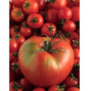 Semillas De Tomate Mortgage Lifter (100% Heirloom/No Híbrido/No GMO). 15 Semillas Aproximadamente