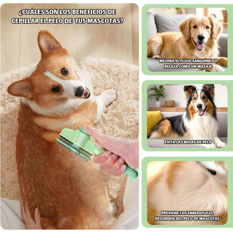Cepillo Removedor de Pelo para Mascotas. Peine con Agujas Mejoradas para Perros y Gatos. Desenredante y Masajeador 20x8x2cm.
