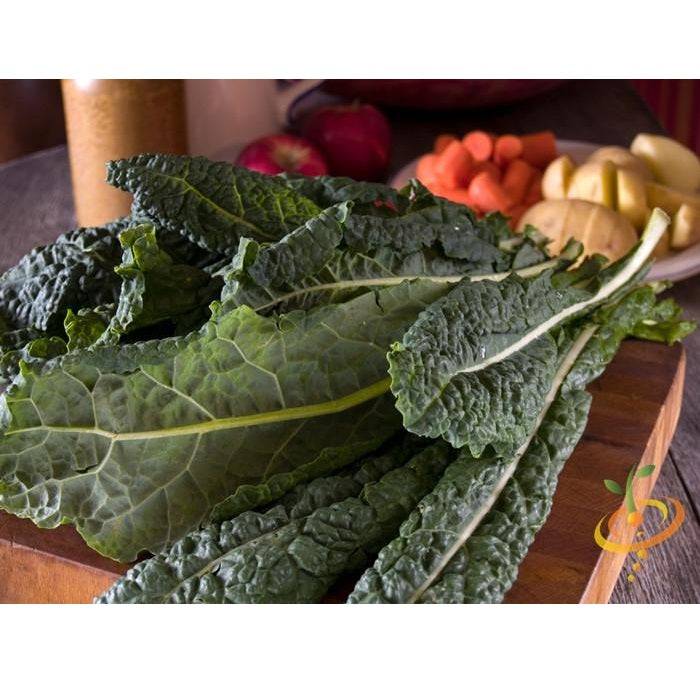 Semillas De Kale (100% Heirloom/No Híbrido/No GMO). 55 Semillas Aproximadamente.