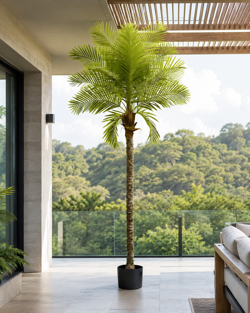 Planta de Coco Artificial Para Interior. Cocotero Decorativo. Altura de 350cm.