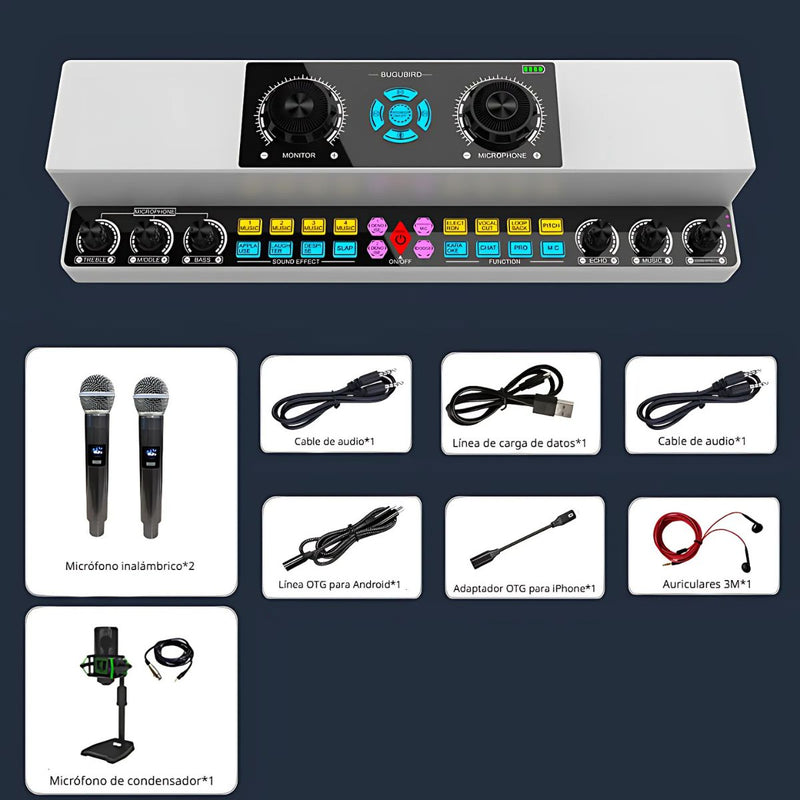 Consola de Audio con Micrófonos Inalámbricos. Mezcladora de Sonido Portátil con Efectos y Micrófonos. Karaoke en casa.