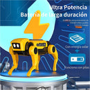 Juguete Robot Solar para Niños 2 en 1 Perro y Gato. Kit Educativo STEM de Energía Solar.