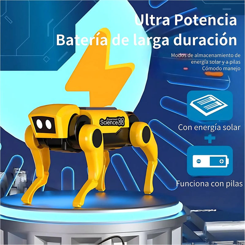 Juguete Robot Solar para Niños 2 en 1 Perro y Gato. Kit Educativo STEM de Energía Solar.
