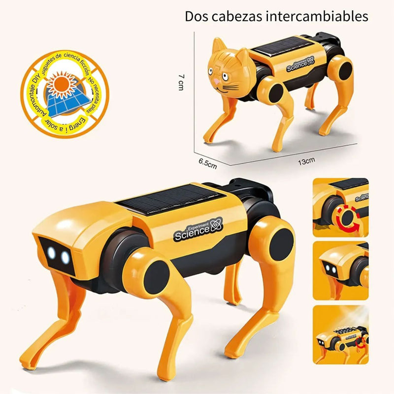Juguete Robot Solar para Niños 2 en 1 Perro y Gato. Kit Educativo STEM de Energía Solar.