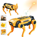 Juguete Robot Solar para Niños 2 en 1 Perro y Gato. Kit Educativo STEM de Energía Solar.