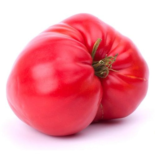 Semillas de tomate, Pink Beefsteak (100% Heirloom/No Híbrido/No GMO). 50 semillas aproximadamente
