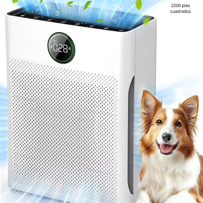 Purificador de Aire Multifuncional para Hogar y Oficina. Funcionamiento Silencioso. Alcance Hasta 40 m².