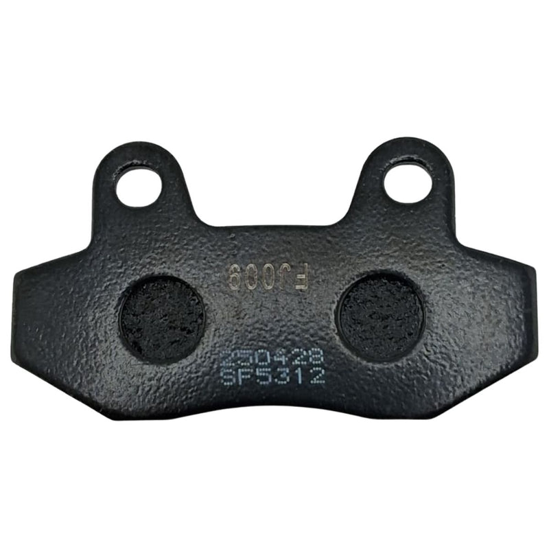 Pastillas de freno delantero (T250X) FRONT DISC BRAKE PAD