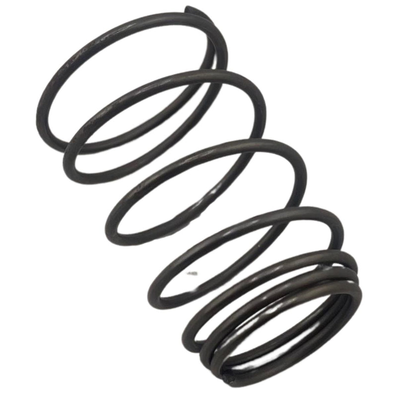 OIL FILTER SCREEN SPRING (BLOG150)